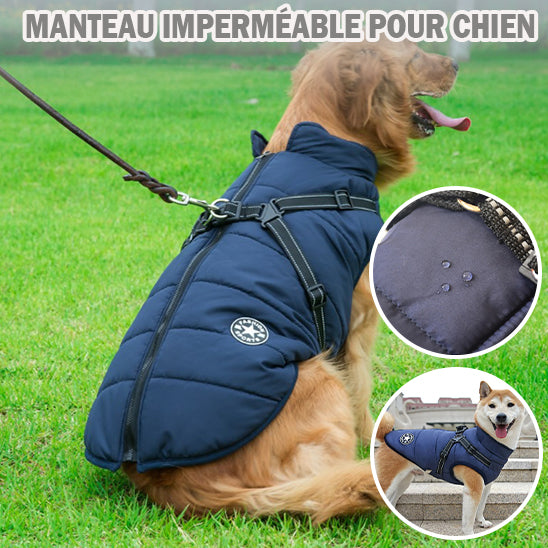 Harnais chien | Manteau