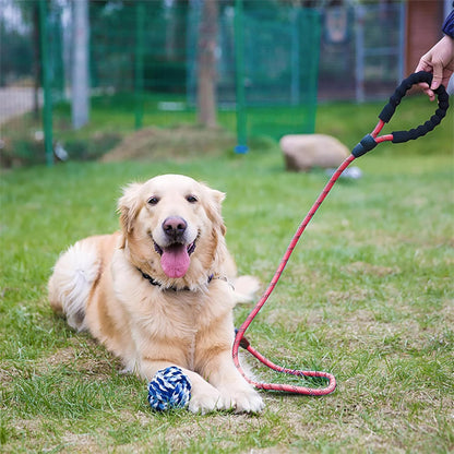 LaisseEduc™ - Corde en Nylon pour chien | Chien - Chienspassionnes