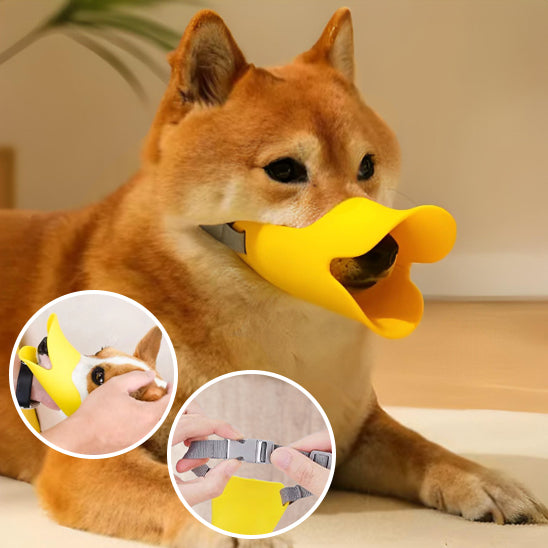 Muselière chien | Sécuri-Canard