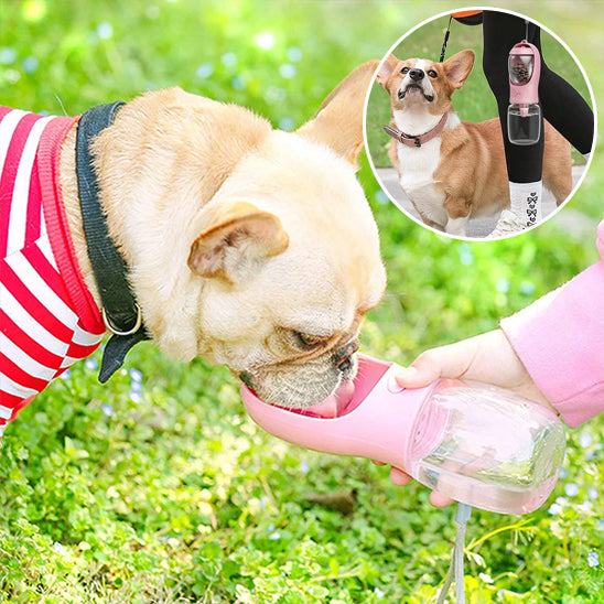 Gourde-pour-chien-Portable-adventure