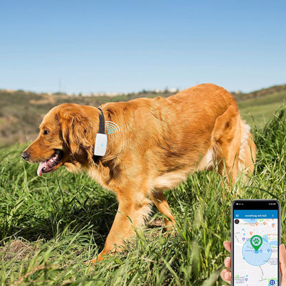 Collier-GPS-chien-TrackSafe