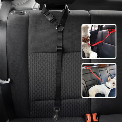 Laisse pour chien | Ceinture de sécurité ajustable