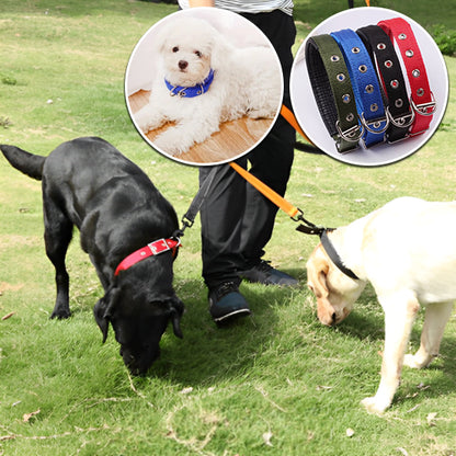 Collier-chien-nylon-simple-trou-divers-couleurs