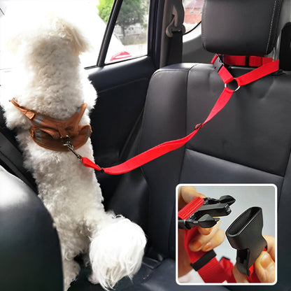Laisse pour chien | Ceinture de sécurité ajustable