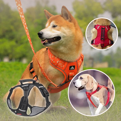 harnais-anti-traction-chien-démo