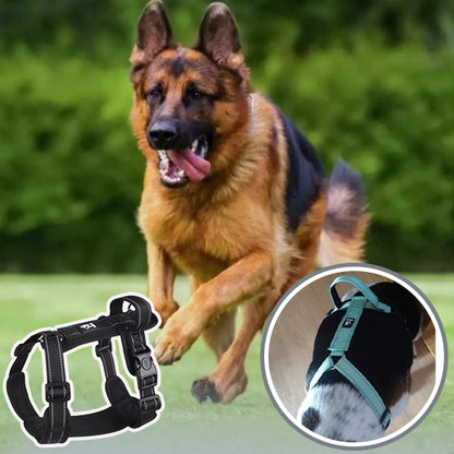 Harnais chien | Ajustable