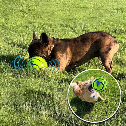 BalleJouetInteractifPourChiens™