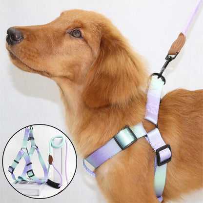 Harnais-pour-chien-coloré-golden