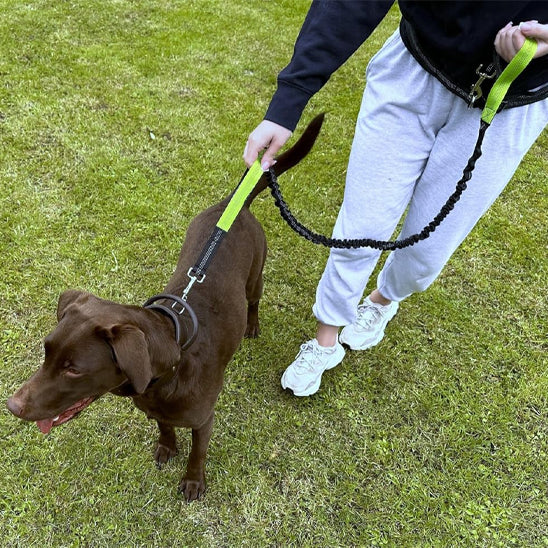 Laisse-pour-chien-Canicross-vert-clair