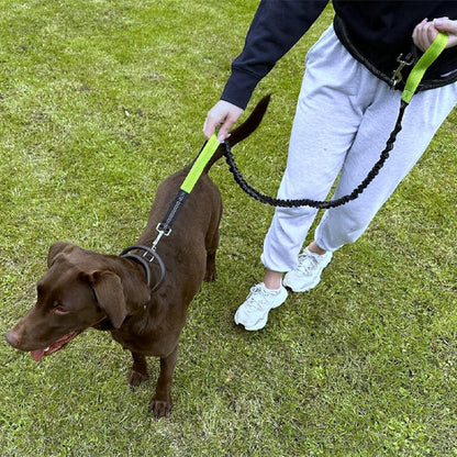 Laisse-pour-chien-Canicross-vert-clair