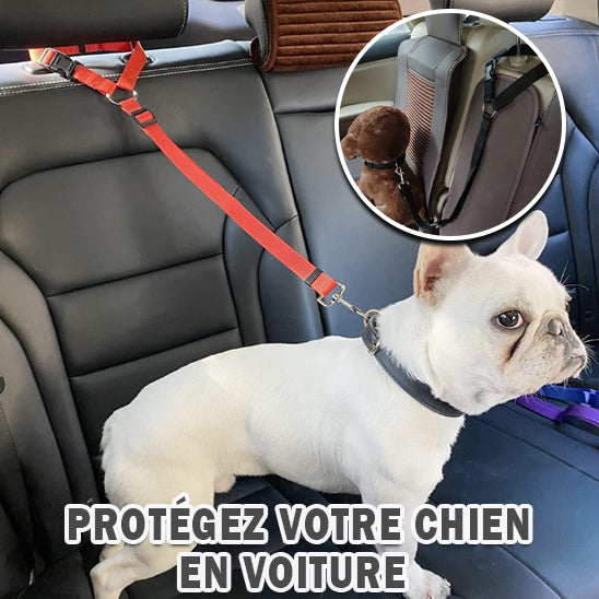 Ceinture de sécurité pour chien - Ajustable