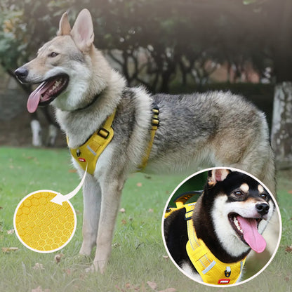 harnais-anti-traction-chien-jaune