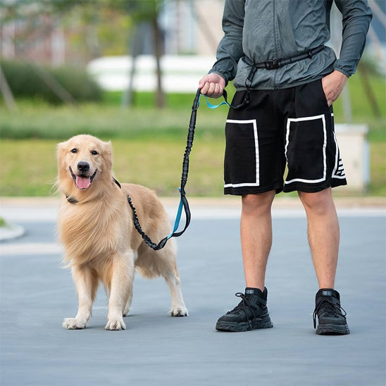 Laisse-pour-chien-Canicross-Bleu