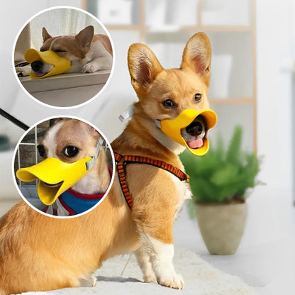 Muselière chien | Sécuri-Canard