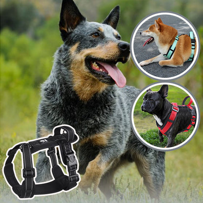 Harnais chien | Ajustable