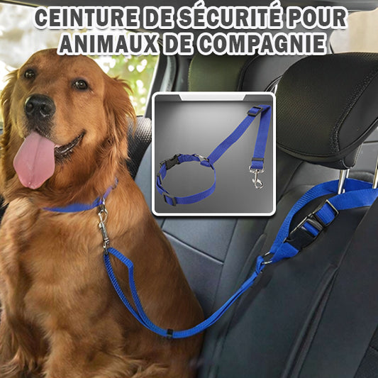 Ceinture de sécurité pour chien - Ajustable