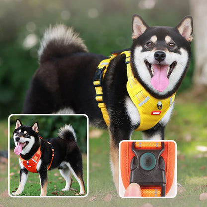 harnais-anti-traction-chien-multi-couleur