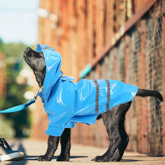 DoggyJack™ - Vest imperméable pour chien - Chienspassionnes