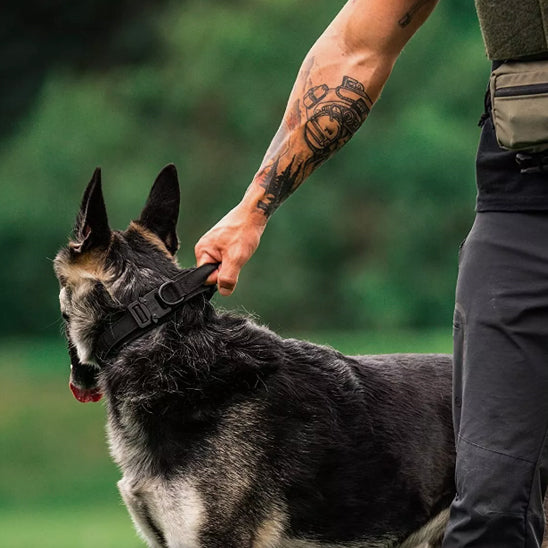 Collier-chien-avec-poignée-noir-collier-laisse-berger