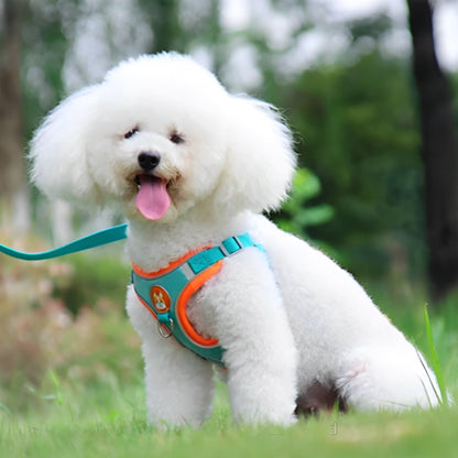 Harnais-pour-chien-ensemble-laisse-bleu-aqua