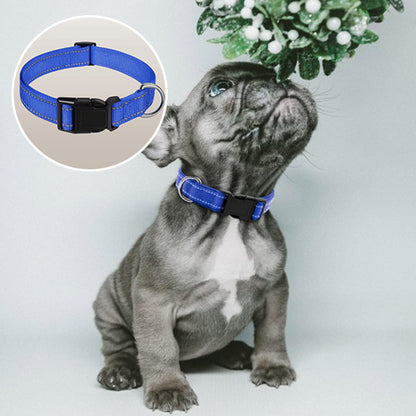 Collier chien | Nylon