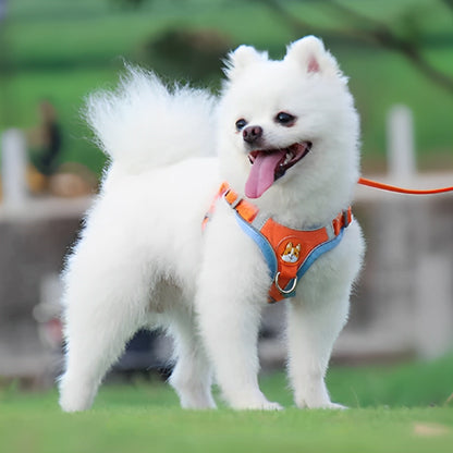 Harnais-pour-chien-ensemble-laisse-chien-blanc