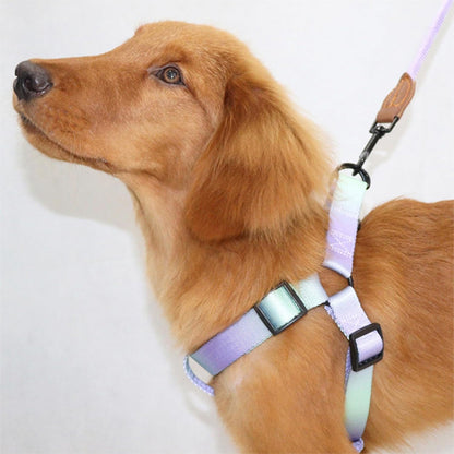 Harnais-pour-chien-coloré-golden