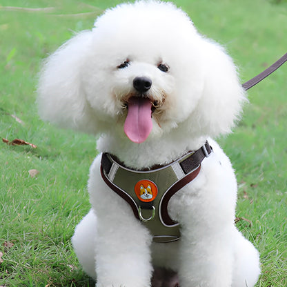 Harnais-pour-chien-ensemble-laisse-noir