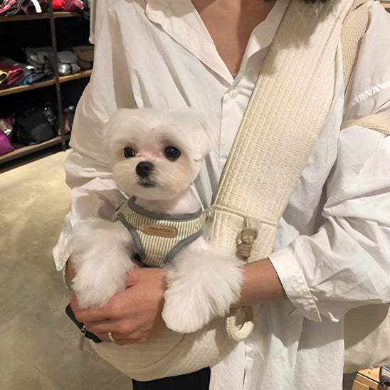 Sac-de-transport-pour-chien-fourre-tout-bulle-chien-blanc