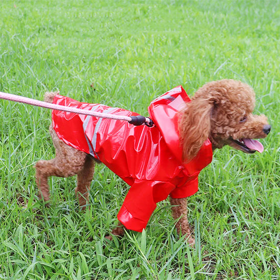DoggyJack™ - Vest imperméable pour chien - Chienspassionnes