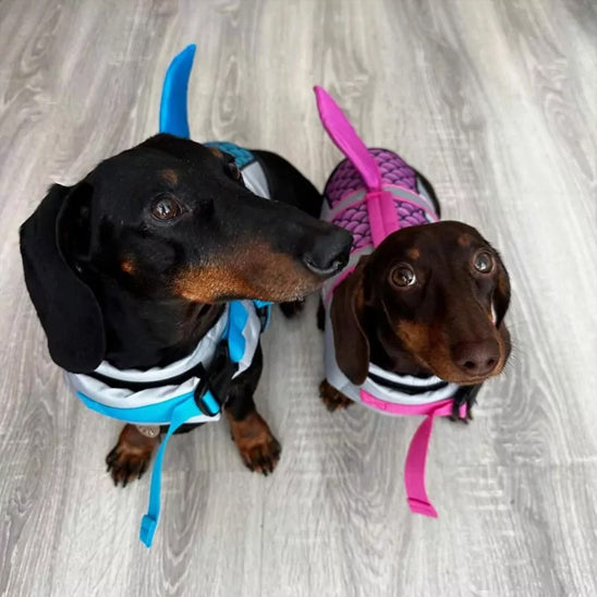 Gilet-de-sauvetage-chien-requin-multi-chiens