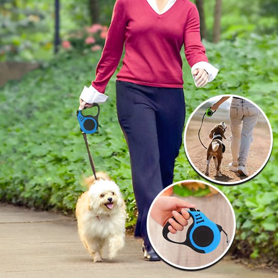 Laisse pour chien / Laisse Rétractable Dog Leash™ - Chienspassionnes