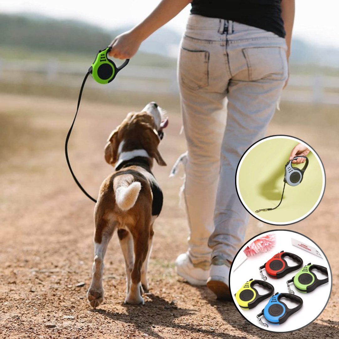 Laisse pour chien / Laisse Rétractable Dog Leash™ - Chienspassionnes