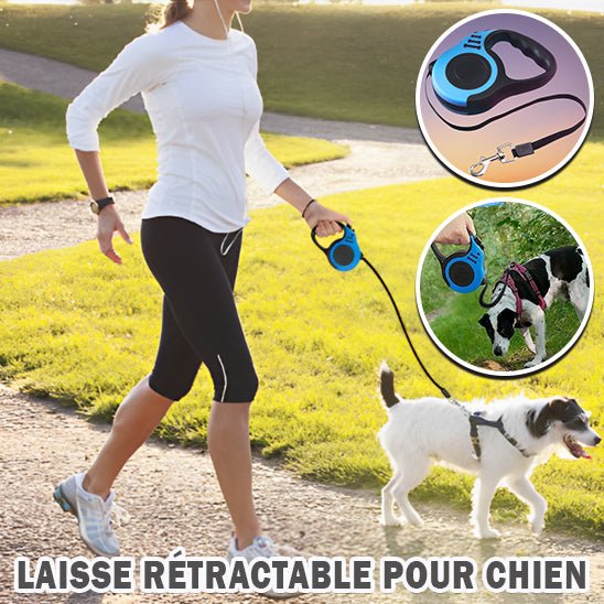 Laisse pour chien / Laisse Rétractable Dog Leash™ - Chienspassionnes