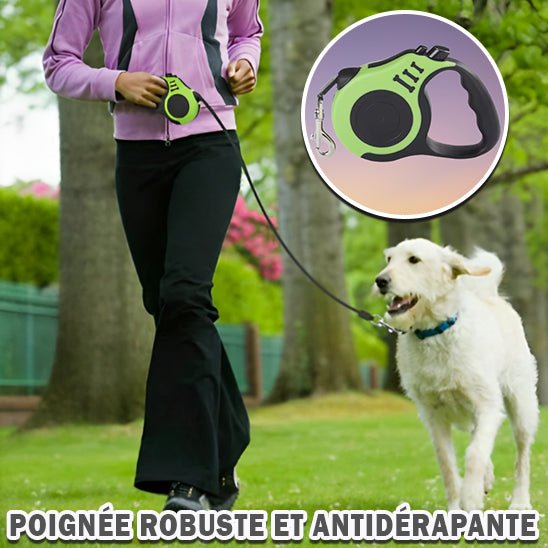 Laisse pour chien / Laisse Rétractable Dog Leash™ - Chienspassionnes