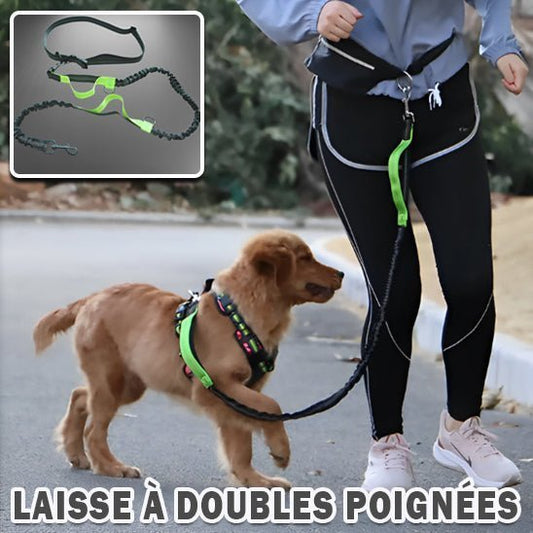 Laisse pour chien / Spécial Jogging™ - Chienspassionnes