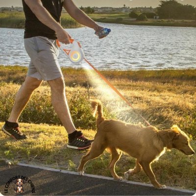 Laisse pour Chien enrouleur | Lumineuse LED