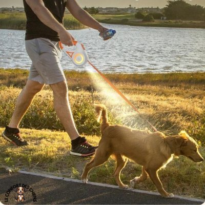 Laisse pour Chien - Lumineuse LED