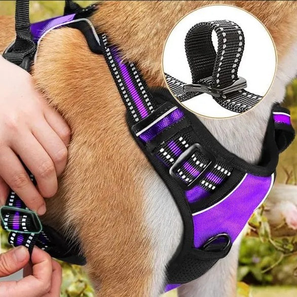 Harnais chien ajustable divers-tailles berger harnais violet