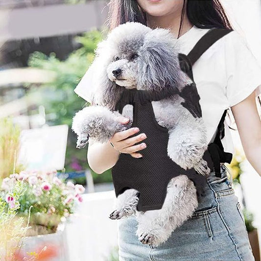 Sac-de-transport-chien-Voyageur-Sécurisé