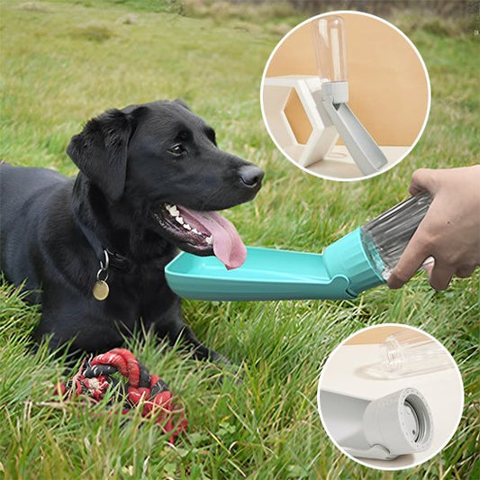 Gourde-chien-Portable