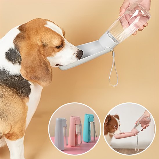 Gourde-chien-Portable