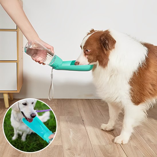 Gourde-chien-Portable