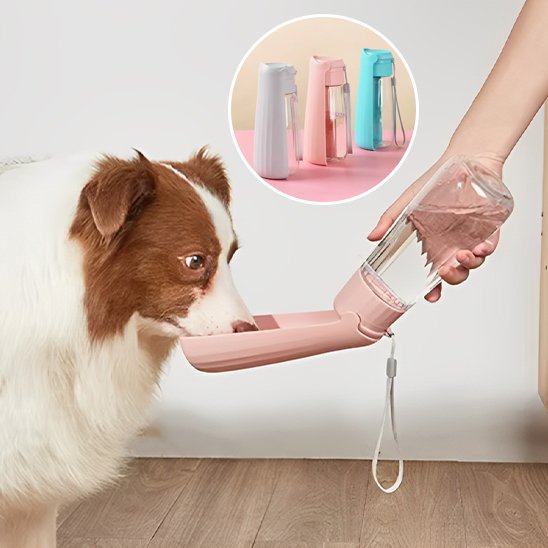 Gourde-chien-Portable