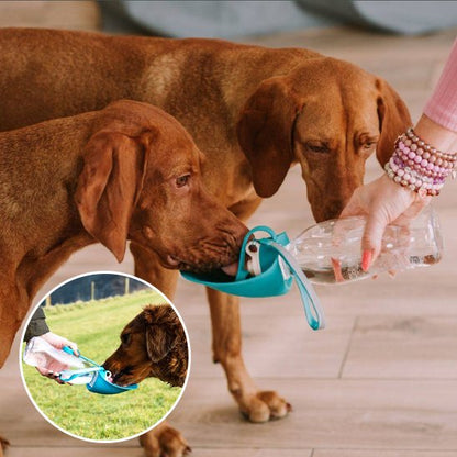 Gourde-chien-Aventure-2-en-1