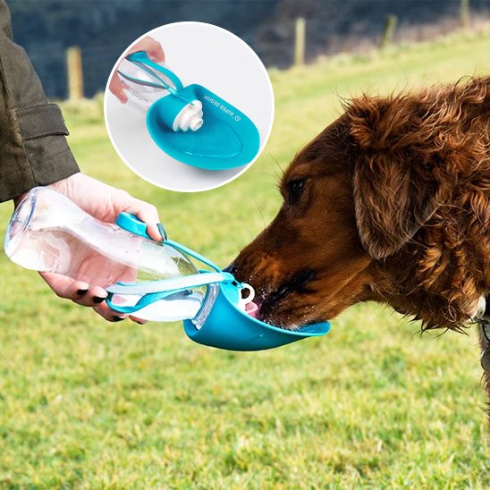 Gourde-chien-Aventure-2-en-1