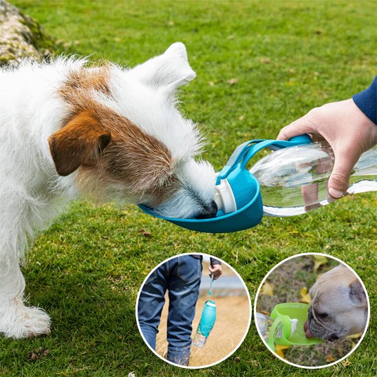 Gourde-chien-Aventure-2-en-1