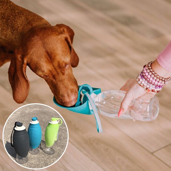 Gourde-chien-Aventure-2-en-1