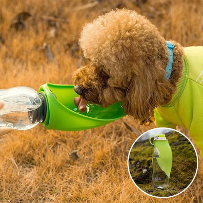 Gourde-chien-Aventure-2-en-1