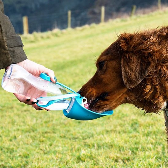 Gourde-chien-Aventure-2-en-1